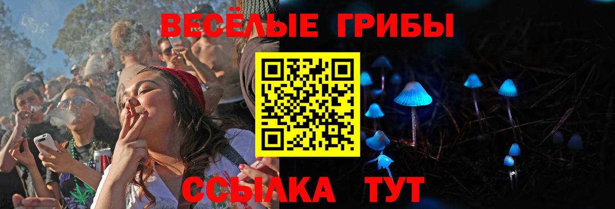 Галлюциногенные грибы Psilocybe  Вход с VPN  Нефтеюганск 